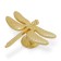 Cappio Pro Pro Pro Dragonfly Prochopka 47 x 60 mm, color gold