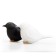 Sparrow spice set, black and white