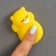 Anthistress label "cat", yellow color