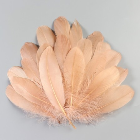 A set of feathers of the goose 13-18 cm, 20 pcs, light brown-1