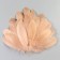 A set of feathers of the goose 13-18 cm, 20 pcs, light brown