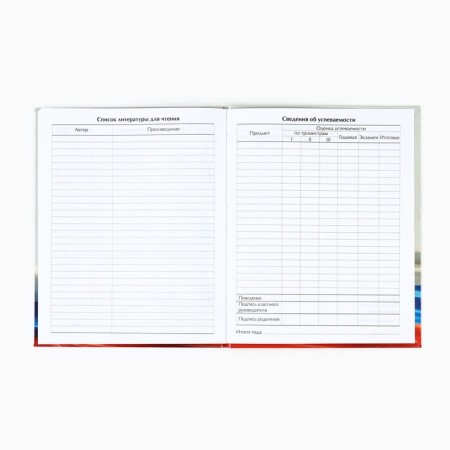 School diary for grade 1-11, in an integrated cover, 40 l. "Russian flag"-3
