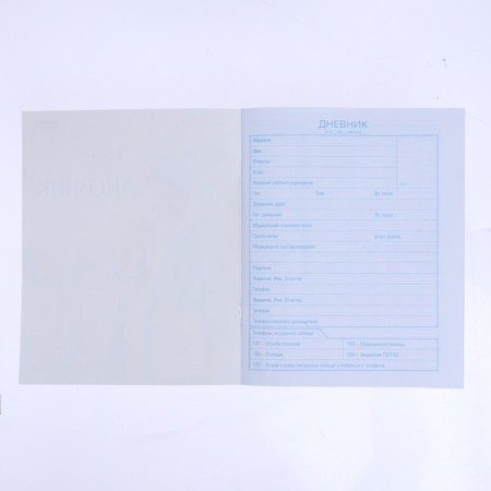 Diary for a music school, a solid cover of 48 sheets, "adventures of a cat cat", glossy lamination, 2 cv block, with reference information-2