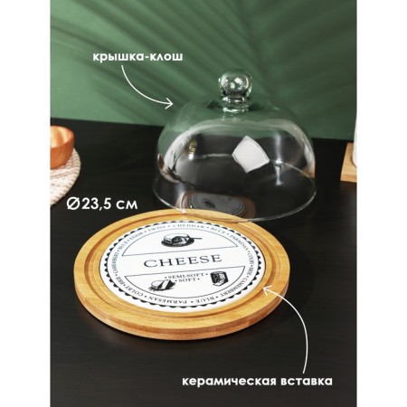 Bellatenero lid "Cheese", D = 23.5 cm-1