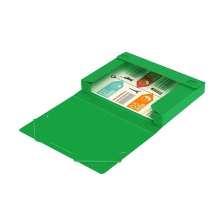A4, 500MKM, calligrata elastic band on elastic band, a root of 25 mm, up to 230 sheets, embossing "sand", green-4