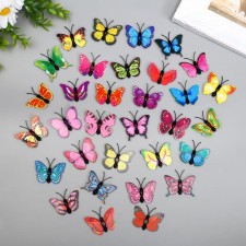 Magnet Plastic 