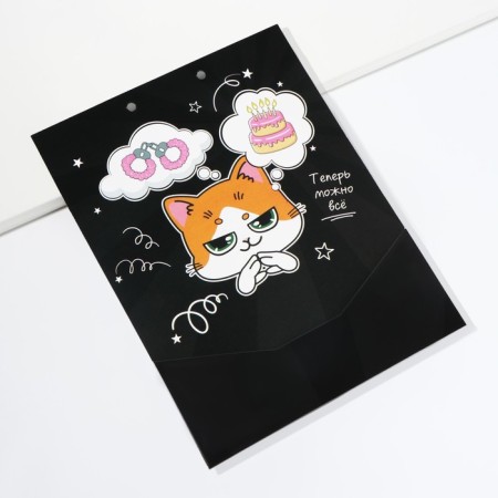 Envenue for money, a birthday card "Congratulatory", with a cat, 6 sheets, 16.3 x 21.3 cm-12