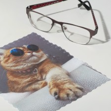 TAO9 “Cat with glasses” 15 × 18 cm, beige color