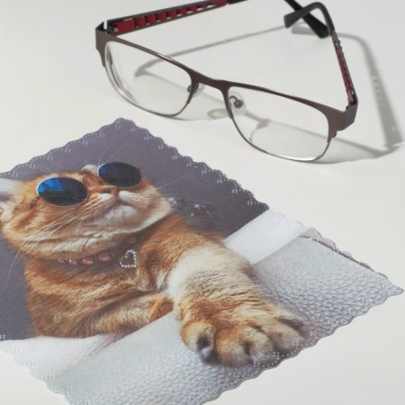 TAO9 “Cat with glasses” 15 × 18 cm, beige color