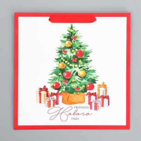 Package Gift New Year Laminated Square Happiness, 30 x 30 x 12 cm, new year-7