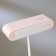 Table lamp 1670/1 LED 5W 2 modes 3000K 6000K USB battering rose 13x10.4x34 cm Risalux
