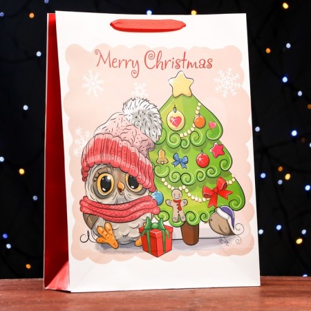 Laminated “New Year's Owl” packet 32 ​​x 12 x 42 cm-2