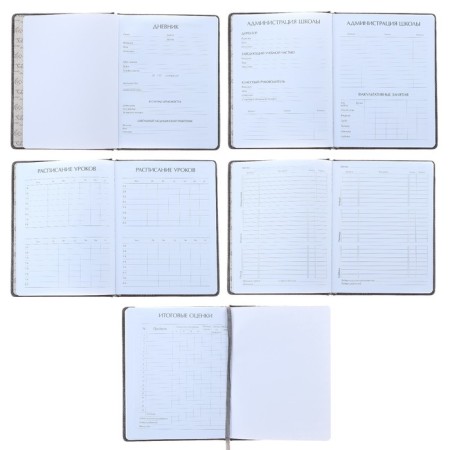 Universal diary for grades 1-11, 48 sheets of Sidney Nebraska, solid cover, artificial leather, thermoting, liesse, block 70 g/m2, gray block-1