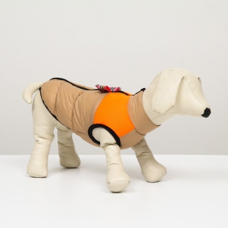 Lightning dog jacket, size 8 (ds 23 cm, og 30, Osh 22 cm), beige with orange-1