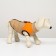 Lightning dog jacket, size 8 (ds 23 cm, og 30, Osh 22 cm), beige with orange