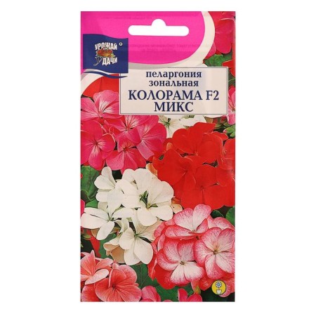 Flower seeds Pelargonium "Coloram", a mixture of colors, 0.03 g-2