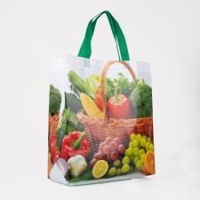 Household bag without fastening, green color/multi -colored