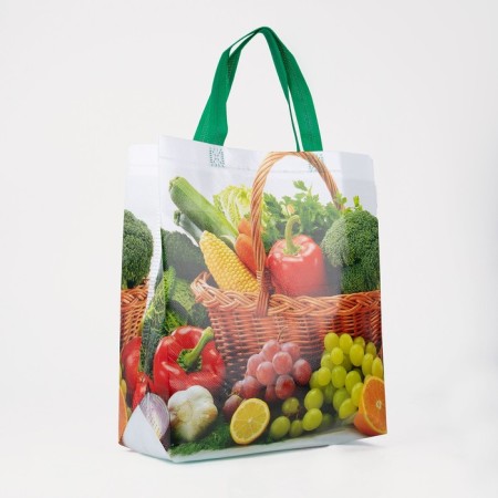 Household bag without fastening, green color/multi -colored
