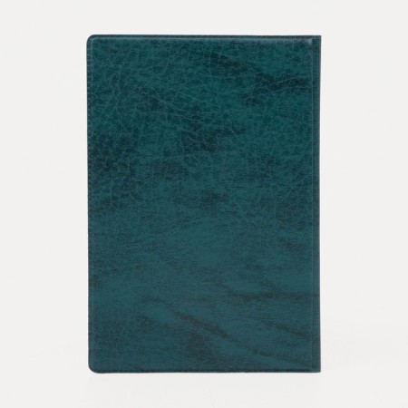 Cover for passport, green color-2