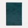 Cover for passport, green color