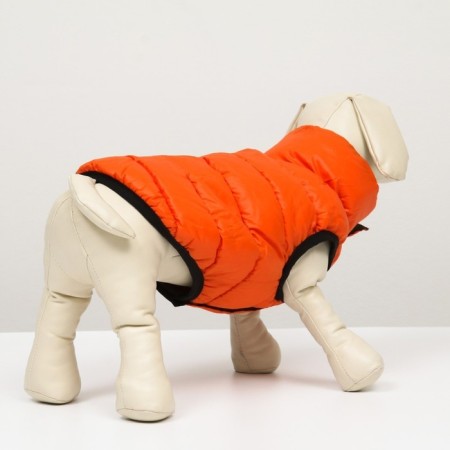 Dog jacket two -sided with a collar, ds 24, Osh 24, og 40, orange/green-2