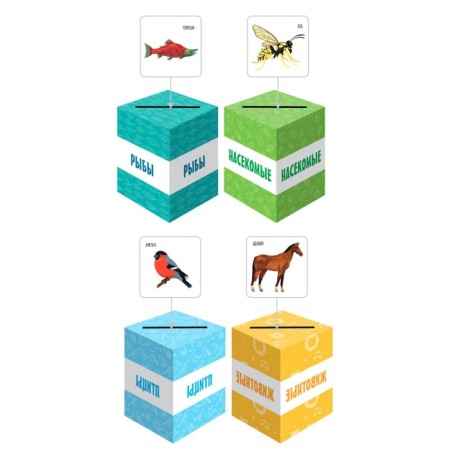 Developing game "Smart Sorter. Animals, birds, fish, insects "-1