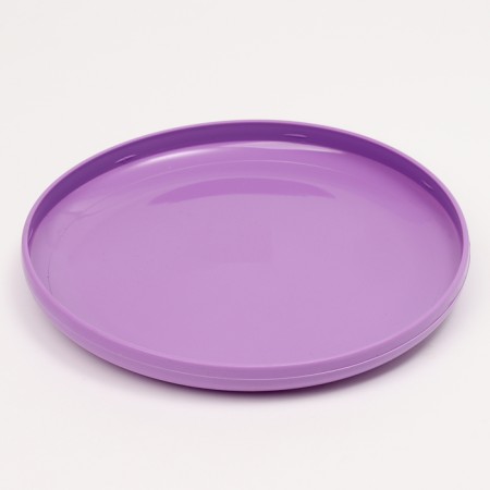 Flying salary Frisby, 23 cm-4