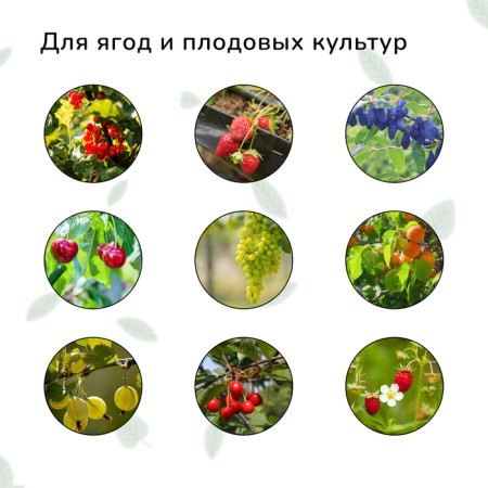 Garden grid, soft, 10 × 2 m, cell 8 × 8 mm, from birds, Greengo-1