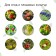 Garden grid, soft, 10 × 2 m, cell 8 × 8 mm, from birds, Greengo