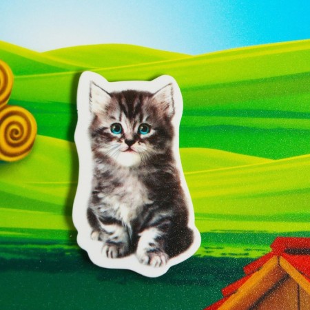 Velcro game "Study the world of pets", Methodology of Doman-3