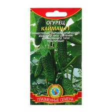 Cucumber Cucuman F1 seeds