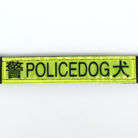 Two -layer collar with a swivel, 3 cm, green-5