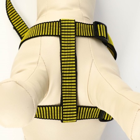 Acunition set is embossed, leash 120 x 2 cm, og 44-50 cm, yellow-black-4