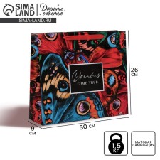 Gift Laminated Horizontal Package, packaging, Dreams Come True, M 26 x 30 x 9 cm