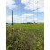 Glorious grid, with a hinge node, 1.8 × 30 m, “Forest barrier”