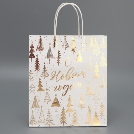 Package gift craft "New Year's time", 22 x 25 x 12 cm, new year-3
