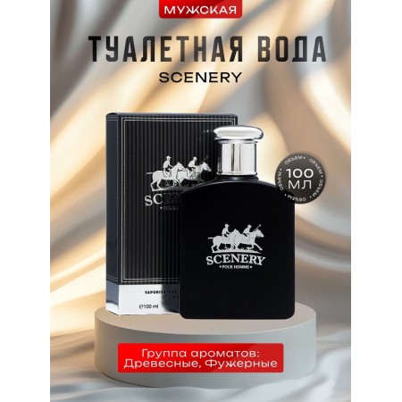 Male toilet water SCENERY, 100 ml
