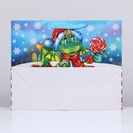 Laminated horizontal "Dragosha" laminate, 49 x 40 x 19 cm-3