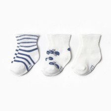 A set of children's socks crumb I am Blueberry 3 pairs, p. 12-14 cm