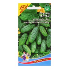 Altai Cucumber seeds, 15 pcs