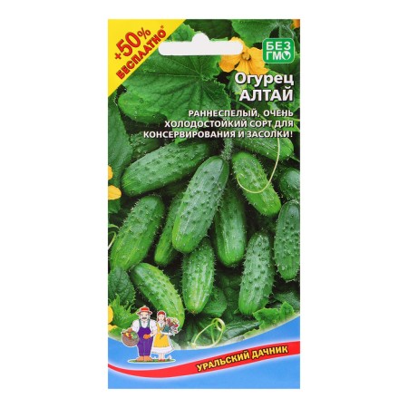 Altai Cucumber seeds, 15 pcs