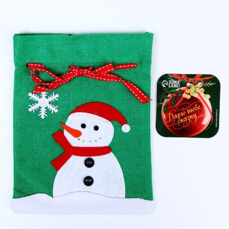 Gift bag "New Year", 21 × 16 cm, species mix-1