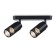 STAST NASTEN-POTOPLE WHOWER WITH AMBRELLA LIGHT, Techno Family, TN51685, 2XGU10, Black Color Black
