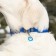 Address for engraving "paw", 2.5 cm, blue