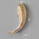 Wall decor, "fish" 16 x 5 cm, gold, right