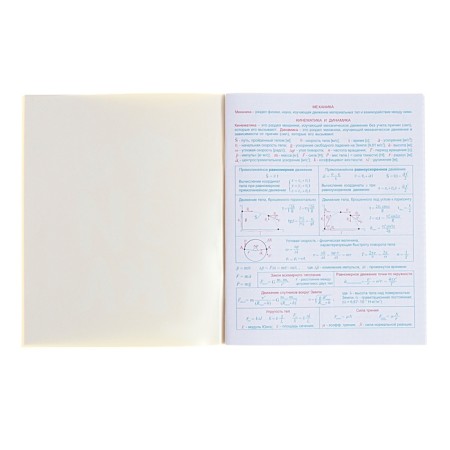 The subject of the “domino”, 48 sheets in the cage, “physics”, plastic cover, offset block-1