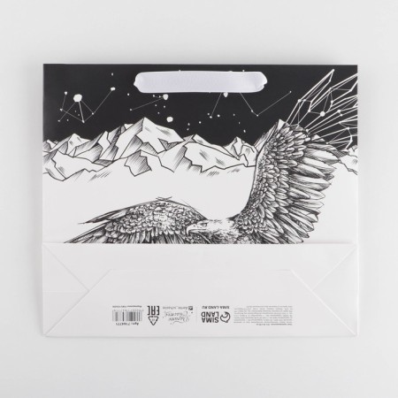 Package Gift Laminated Horizontal, Packaging, "Eagle", M 25.5 x 30 x 9 cm-4