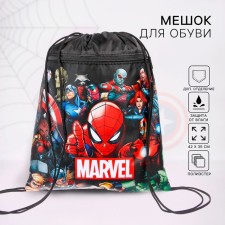 A bag for shoes with a pocket 420*350 mm, Spider-Man