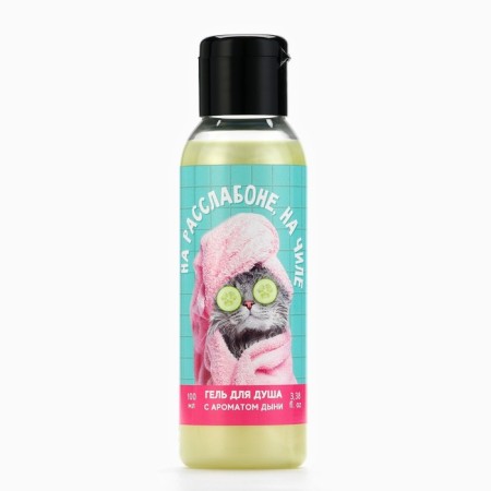 Shower gel “on a relaxation, on a chill”, 100 ml, melon aroma, Beauty Fox-1