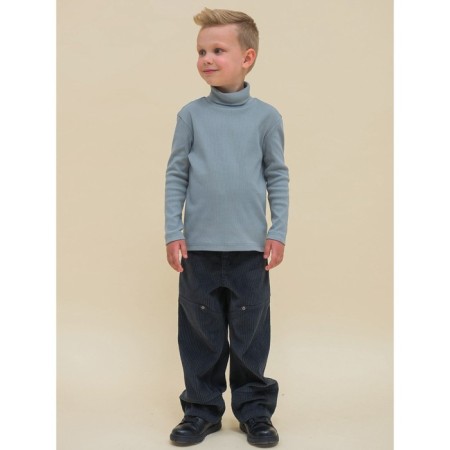 Turtleneck for the boy Pelican, height 104 cm, color gray-4